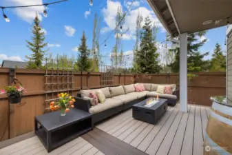 Trex decking creates a low-maintenance and great looking back deck.