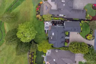 Privacy plantings between both neighbors
