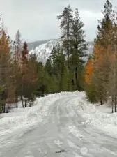 Beautiful in the winter too! HOA maintained roads.
