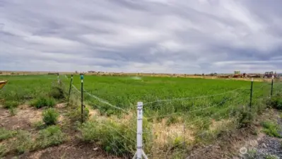 12 acres with water rights