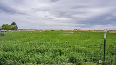 12 acres with water rights