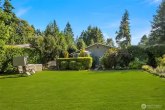 North Side Yard.