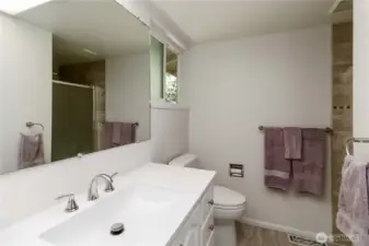 Private en suite bathroom with sleek finishes and walk-in shower.
