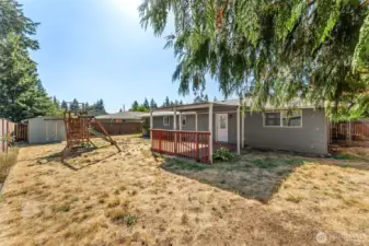 16905 - Large Fully Fenced Back Yard