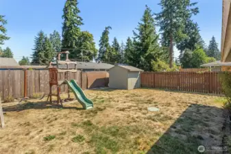 16905 - Fenced Back Yard with Shed and Playtoy