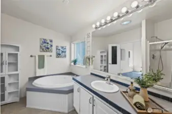 Primary ensuite with jetted tub and separate walk-in shower.