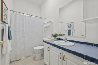 Hall bath - roomy, bright and cheerful
