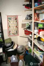 Lower level pantry.