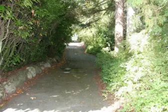 Other side of loop around driveway with a easement for home left side of property as facing front of home.