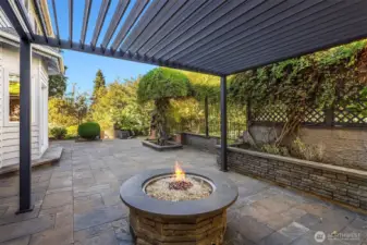 Plumbed gas fire pit and metal pergola (convey with home).