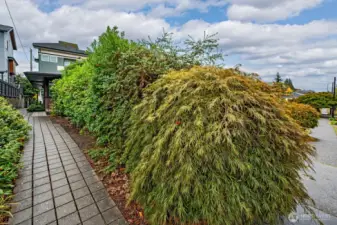 Welcoming entry path.