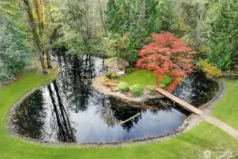 Pond with gazebo island