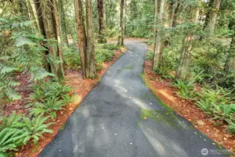 Driveway leading to the home