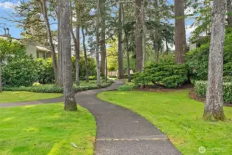 Stroll along well manicured trail