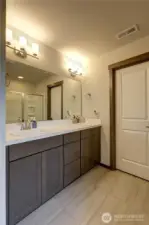 ANOTHER VIEW OF PRIMARY BATHROOM