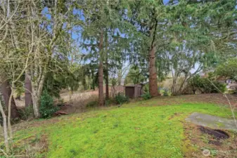 Another view of the backyard.