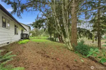 From the other side of the yard.