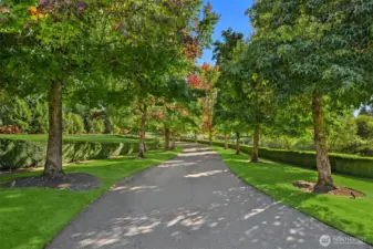 A long, tree-lined driveway winds through five manicured, illuminated acres.