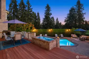 The entertainment-sized deck sits just steps from the magnificent resort-style pool.