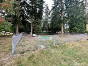 Fenced dog park