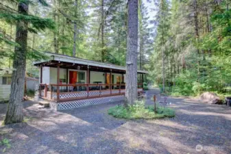 Mountain forest all around