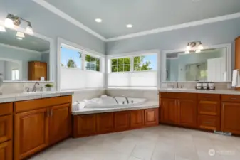 This huge spa bath has a soaking tub, dual shower heads, two sink counters, and a water closet.  The walk-in closet connects to the right of the photo.