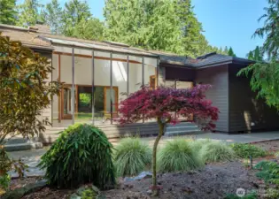 Yard space for entertaining