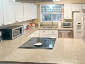 stove top- built in with Quartz counter tops