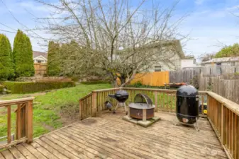 Large back deck