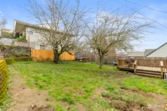 Fully Fenced backyard with great space to garden!