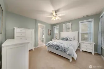 Spacious primary bedroom with soothing new paint, custom blinds with blackout shades and a ceiling fan.