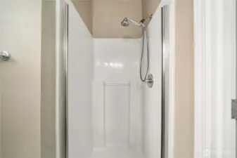 Easy care shower in the guest bath.