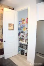 spacious pantry storage