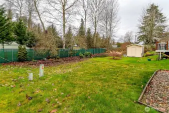 Spacious backyard area!