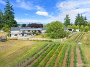 Stunning country estate with daylight ramble, attached studio apartment, barn-style pole building for weddings/events and flower/hobby farm!