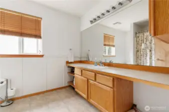 Large primary bathroom offers lots of space. Complete with tub/shower combo and oversized mirror.