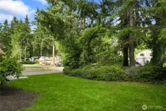 Large 15,000+ sqft lot!
