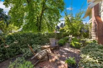 Private yard retreat! Seattle living at it's finest, and so close to everything!