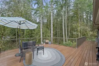 A view of the gorgeous trex deck and the "tree-house-like" ambiance from this space.