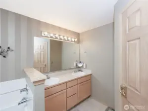 Primary bath showing 2nd closet