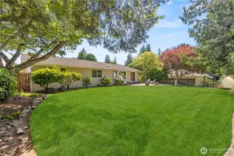 Mature Trees For Added Privacy