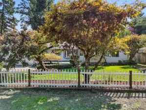 Cute white picket fence and beautiful feature trees