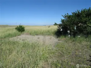 private sitting area in dunes.