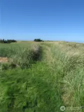 Beach Path