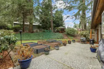 Back patio garden area