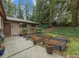 Back patio garden area