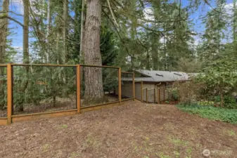 Fenced area for pets