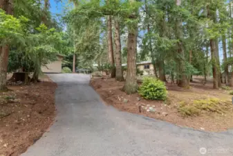 Privacy from the road