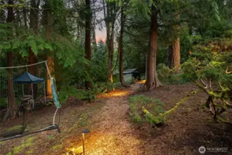 Several trails lead through the tree-lined forest.