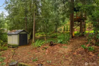 Zip line through the forest from your custom tree house.
